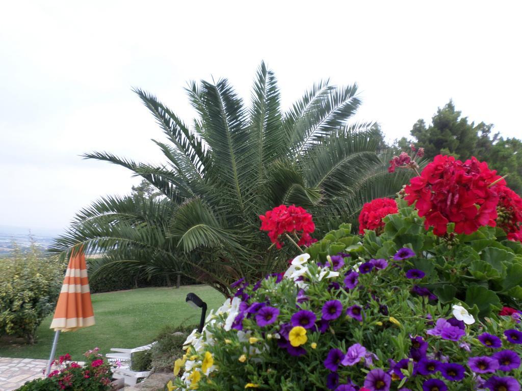 Bed And Breakfast " Il Tesoro Di Mario " Falconara Marittima Exterior foto