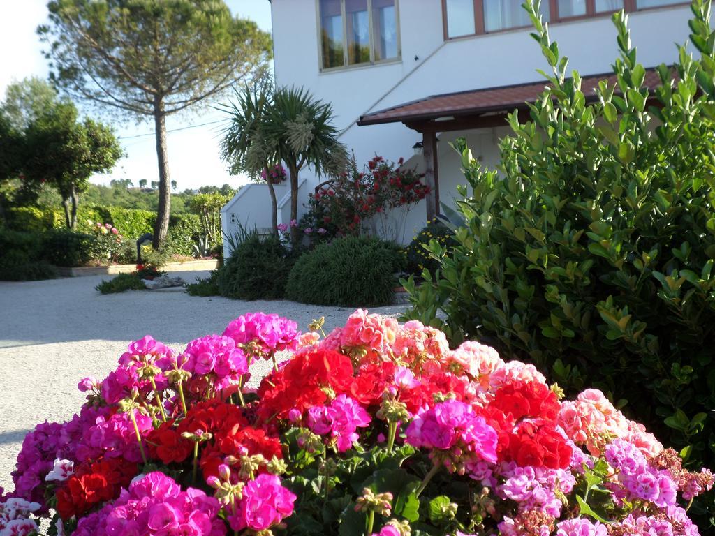 Bed And Breakfast " Il Tesoro Di Mario " Falconara Marittima Exterior foto